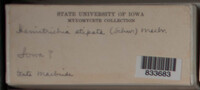 Image Associated With the Occurence